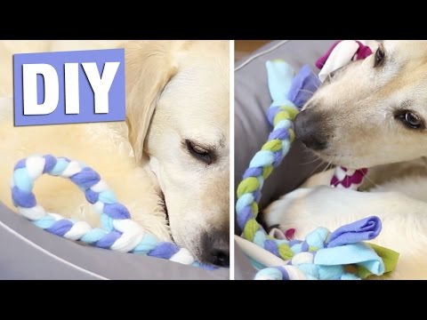 ANLEITUNG HUNDESPIELZEUG selber machen | HUNDE DIY ZERGEL in 10 Minuten!