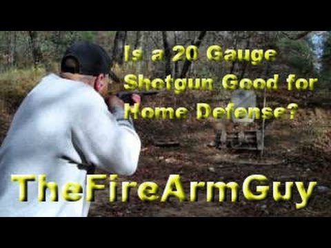 Is a 20 Gauge Shotgun Good for Home Defense? - TheFireArmGuy