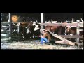  - MovieZen Video