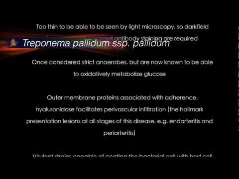 how to control group b streptococcus
