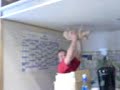 spiderschwein spiderschwein