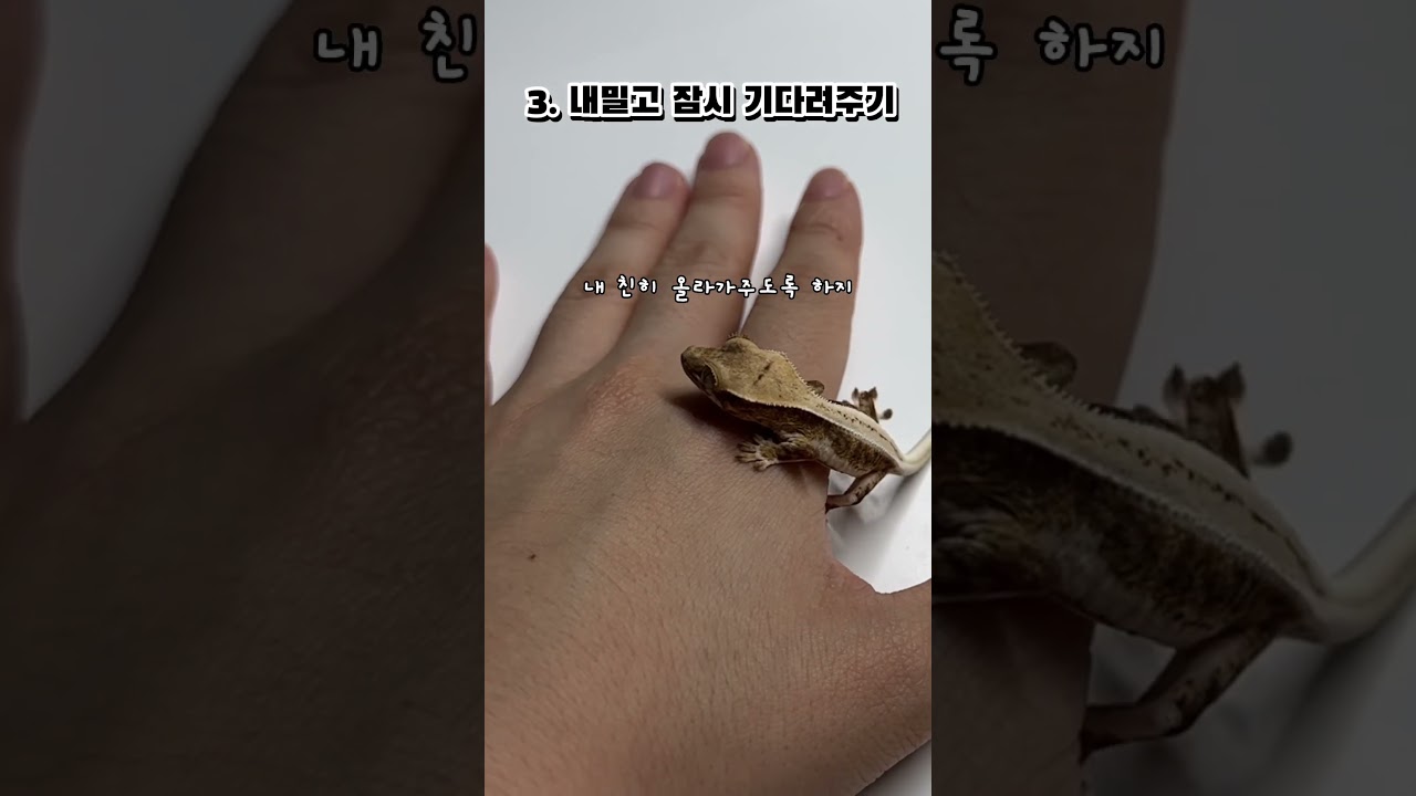 테스트3