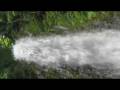 videos de 鳥取県鳥取市国府町　雨滝 &fmt=22 waterfall HD