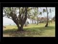 Caribbean Cruise Destinations : Caribbean Cruise Destinations: Samana