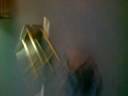 daniel jump in p.e hall