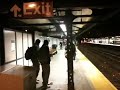 4 Train Raccoon