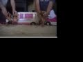 videos de Seattle Documentary - Klondike Barbie Adventures