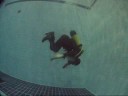 Somersault