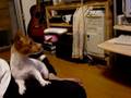 ウランの生歌!?できそこないバージョン♪