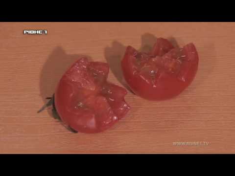 Приготування соковитої телятини під вершковим соусом у програмі "Кулінарний туризм"