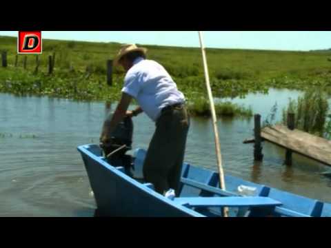 La Cenicienta Película 2015 La Cenicienta Película 2015
