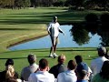 Tiger Woods' Golf Swing