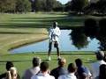 Tiger Woods' Golf Swing