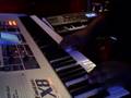 Ed Diaz Fantom X Thumpin' Bass