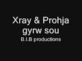 gyrw sou-Xray&amp;prohja(bebilos)