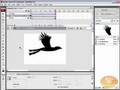 Dynamic Flying Birds: Flash Tutorial! Place Movieclips w/ AS 3.0