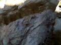videos de Colorado.mp4