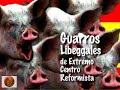 censura en  foro gracias aznar   pásalo