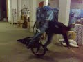 lombrico muore in bmx fatal accident morte in bici incidente