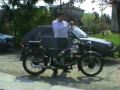 Lupo in Guzzi