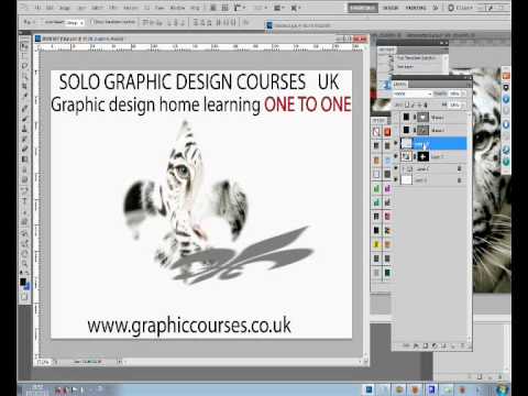Courses to Learn Web Design  UK