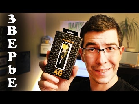 Beeline 4G - Проверим