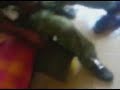 russian soldiers jealous of georgian millitary base