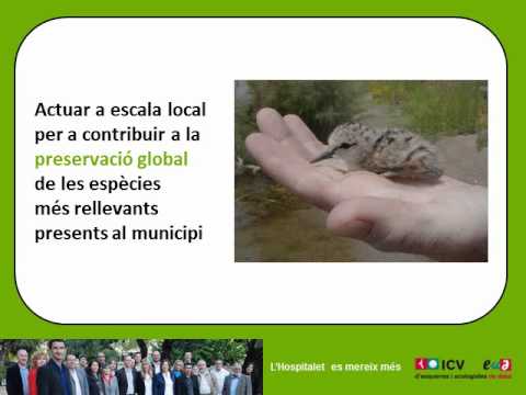 Visualitza el vÃdeo Visualitza el vÃdeo