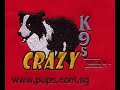 PUPS CRAZYK9S DEMO