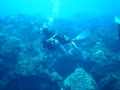 20091105_108.AVI