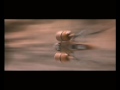 Duel of the Fates Remix Video