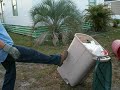 Garbage Surprise