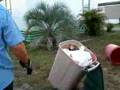 Garbage Surprise
