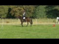 Rheba - Waimate ODE March 2009