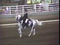 Lipizzan horse musical freestyle