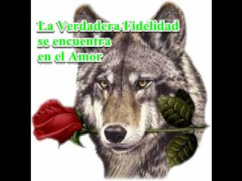 Imagen de previsualización de YouTube