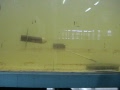 Simulated turbine in a flume (2)