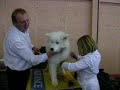 Apprentie brosseuse Apprentie brosseuse