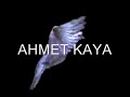 AHMET KAYA