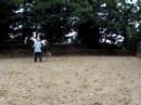 Chaser en Wil spelen