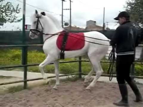 MENEGIAS ETOLIKO URBION ALTA ESCUOLA ECTAS TRAINING