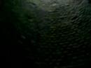 Lugar nenhum com borbulhas!