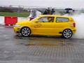 lupo