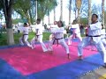 tae kwan do itt