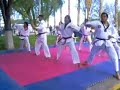 tae kwan do itt