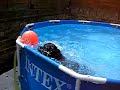 swimming without the coat