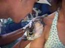 fasendo uma tatuagen