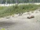 Baja5b compil
