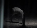 grazing-deer-hocking-hills.html
