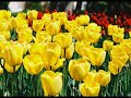 Erdem Beyaz?t - Sana Bana Vatan?ma Erdem Beyaz?t - Sana Bana Vatan?ma